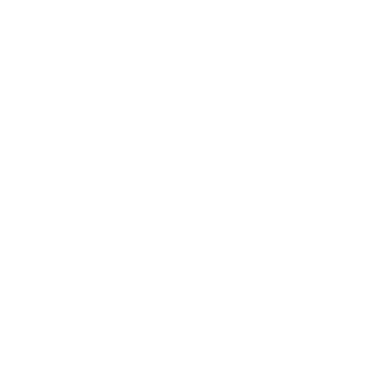 cardetail